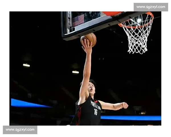 天赋初显，立足为艰：杨瀚森的 NBA 生存战