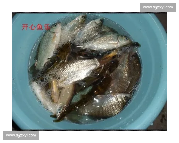 四百钓手扬城逐鹿!第八届 “乐钓江苏” 总决赛落幕 四百钓手扬城逐鹿!第八届 “乐钓江苏” 总决赛落幕