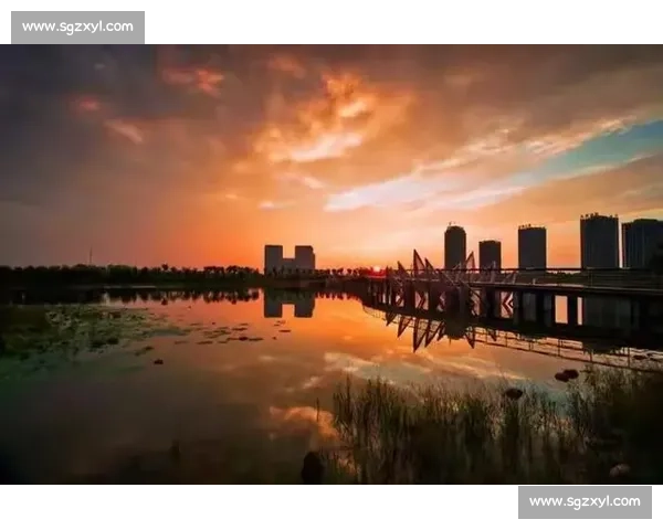 济宁金秋球韵浓：追 “球” 卓越，共创 “金” 彩