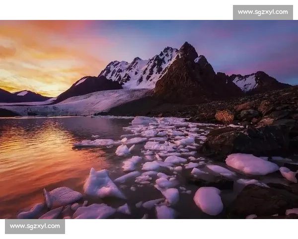 晨雾与羽翅:鸟里的早安启示 晨雾与羽翅:鸟里的早安启示